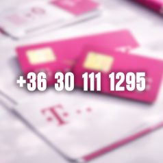 +36 30 111 1295