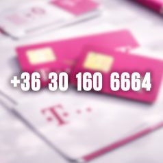 +36 30 160 6664