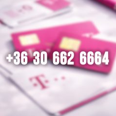 +36 30 662 6664
