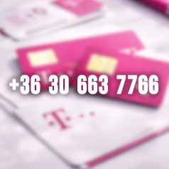 +36 30 663 7766