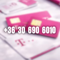 +36 30 690 6010