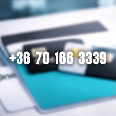 +36 70 166 3339